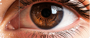 Biometric Scan